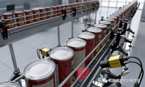 機器視覺在食品安全檢測領域的應用與展望 技術服務與技術轉讓的雙重驅動